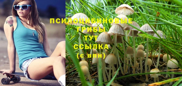 шишки Алексин