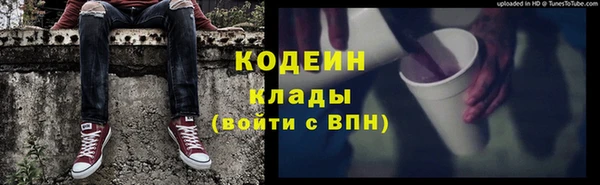 шишки Алексин