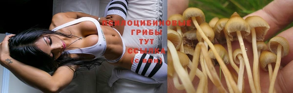 мяу мяу кристалл Алексеевка