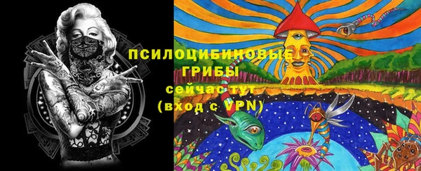 шишки Алексин