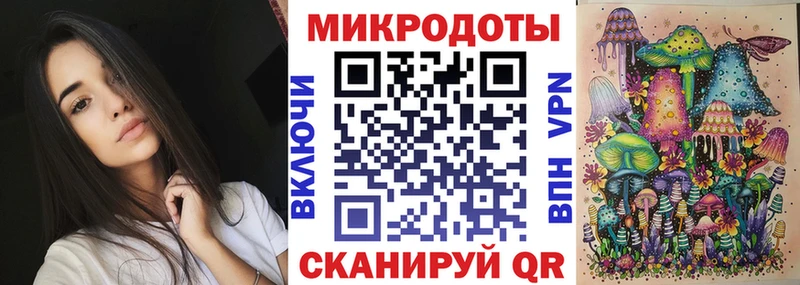 Галлюциногенные грибы Psilocybe  закладка  Грайворон 