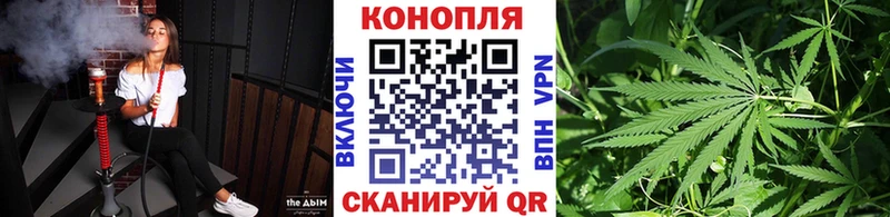 hydra tor  Грайворон  Конопля марихуана 